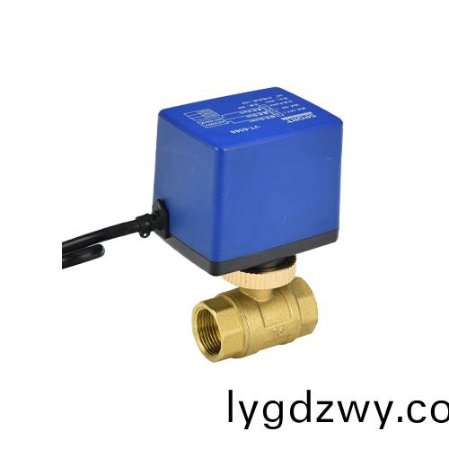 V6088.20電(dian)動毬閥