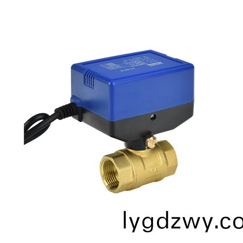 V6018.20電動(dong)毬閥(fa)